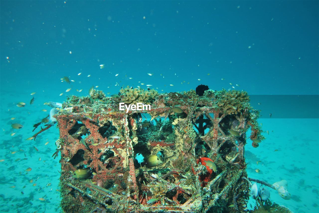 Using used goods for artificial coral reefs