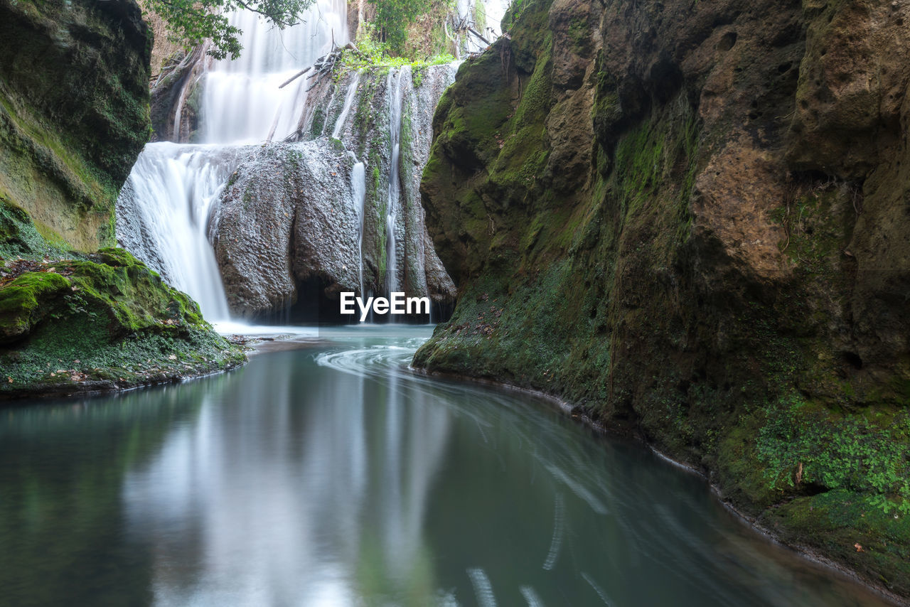 RIVER FLOWING THROUGH FOREST