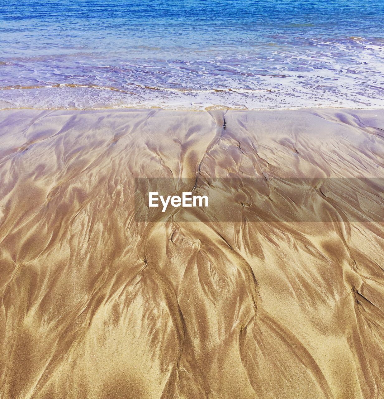 SAND DUNES AT BEACH