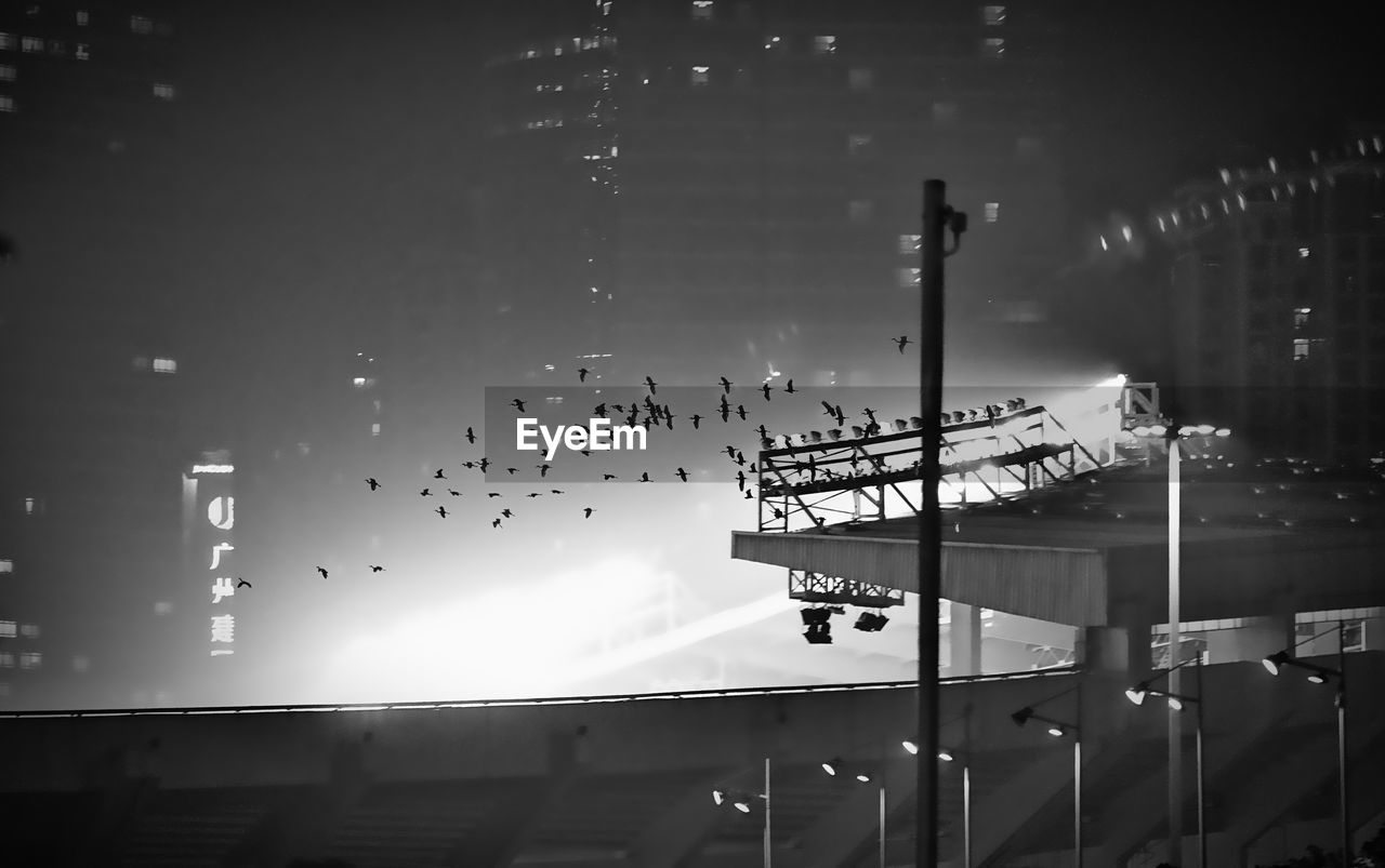 Birds flying over tianhe stadium at night