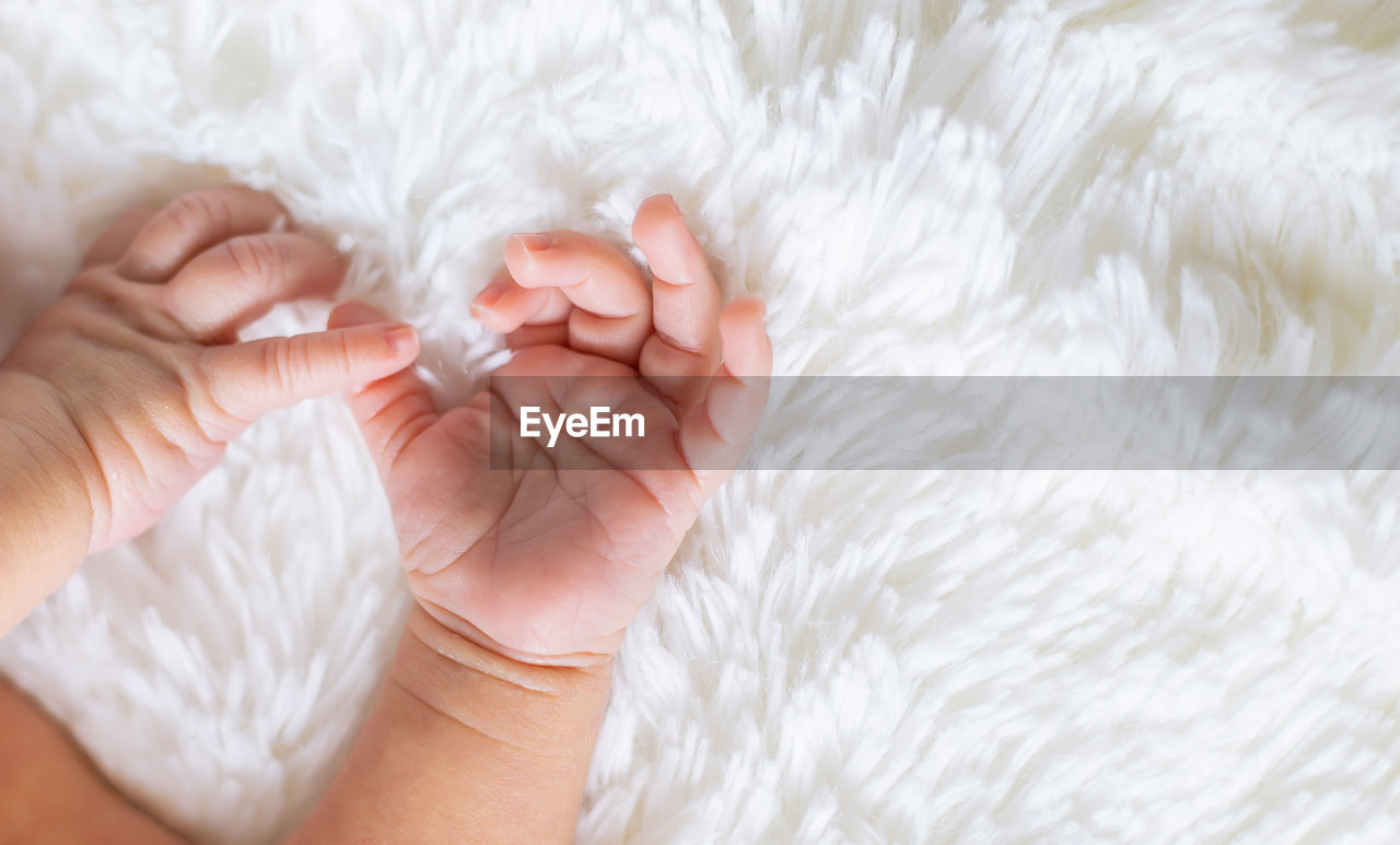 cropped hand of woman holding baby