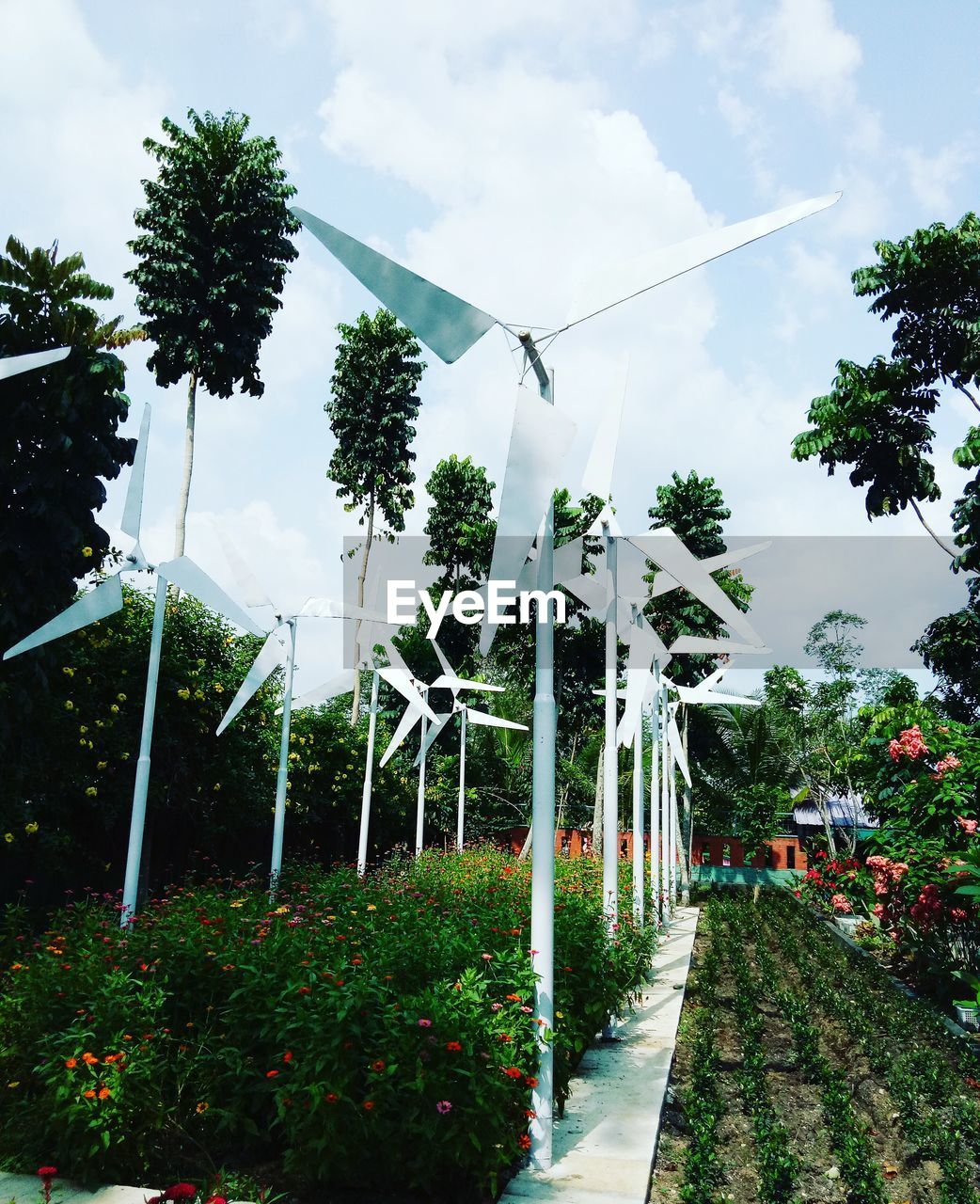 PLANTS IN PARK AGAINST SKY