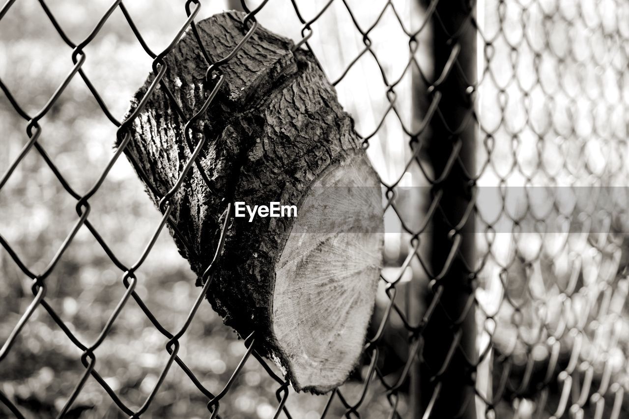 Close-up of chainlink fence