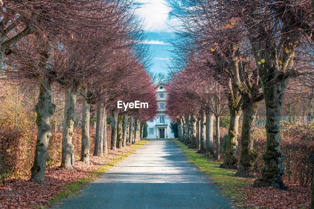 VIEW OF EMPTY ROAD ALONG TREES