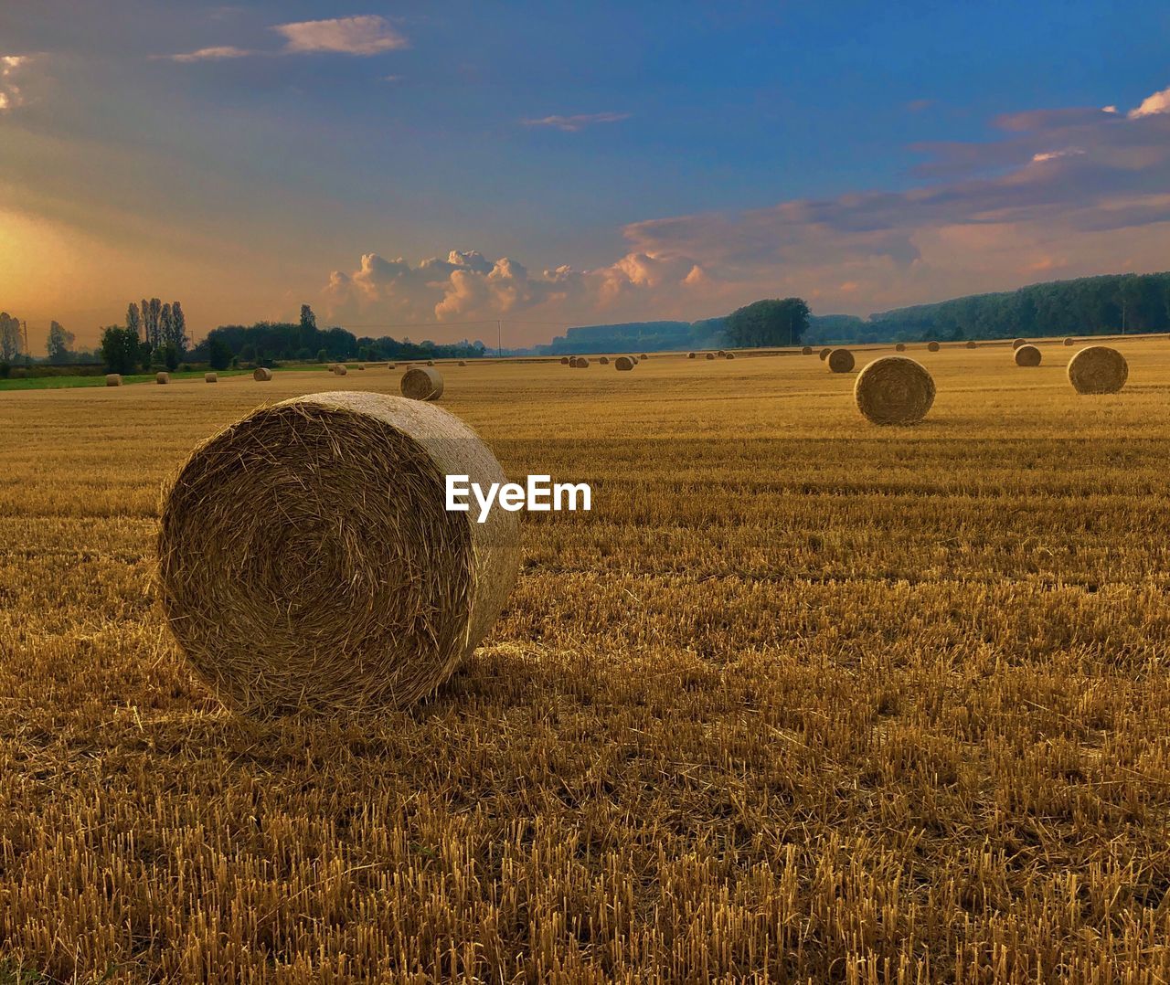 HAY BALES IN FIELD AGAINST SKY DURING SUNSET