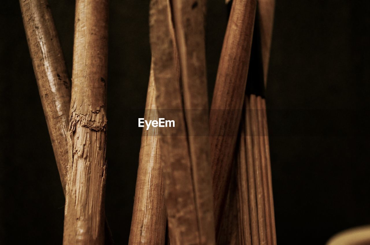 CLOSE-UP OF BAMBOO ON WOODEN STRUCTURE