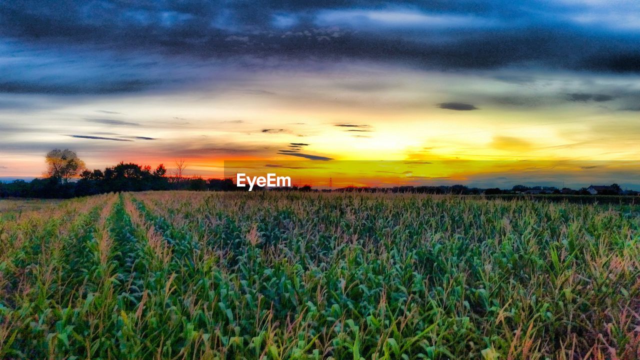 SCENIC VIEW OF LANDSCAPE AGAINST CLOUDY SKY AT SUNSET