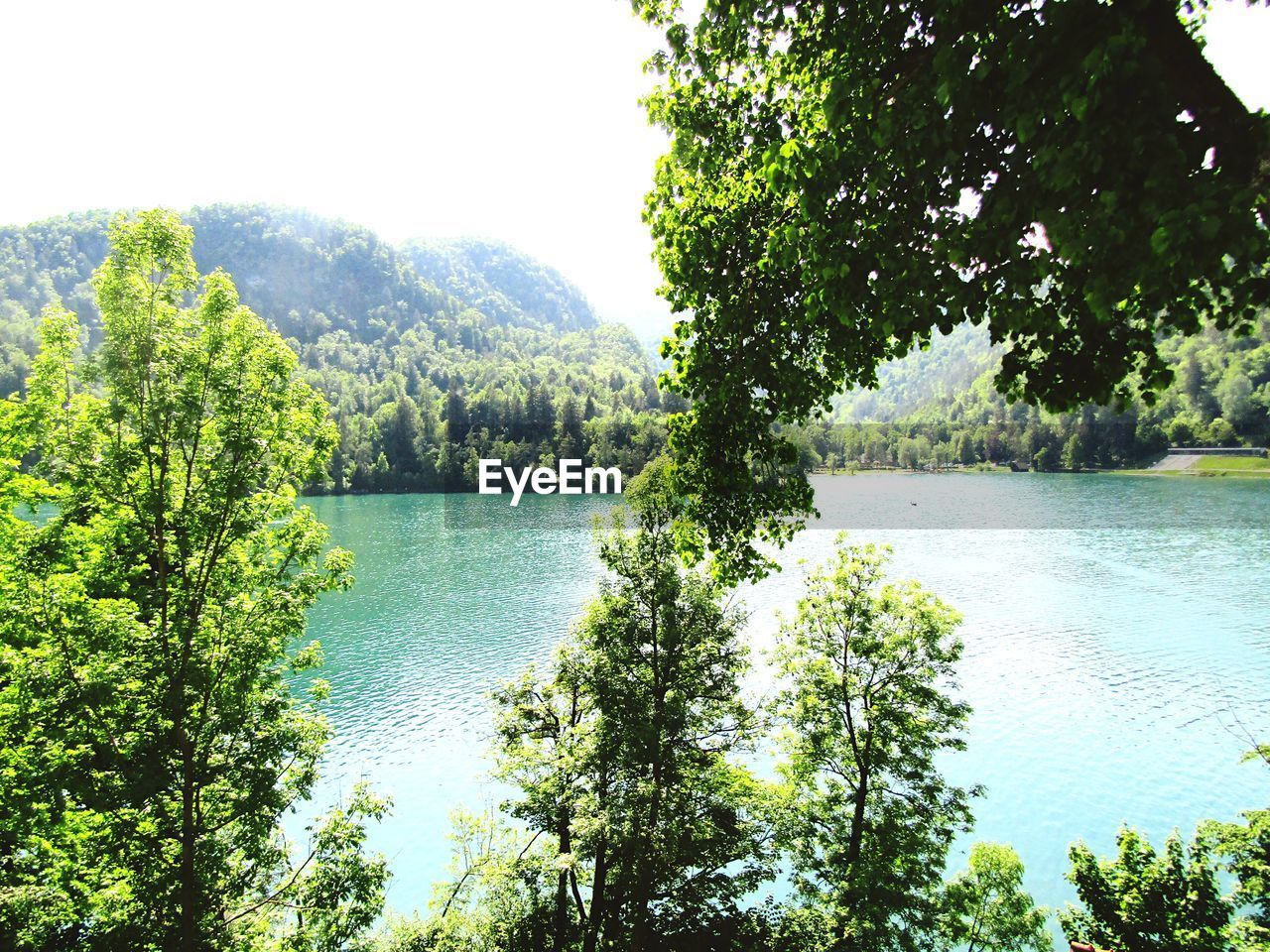 SCENIC VIEW OF LAKE AMIDST TREES IN FOREST AGAINST SKY