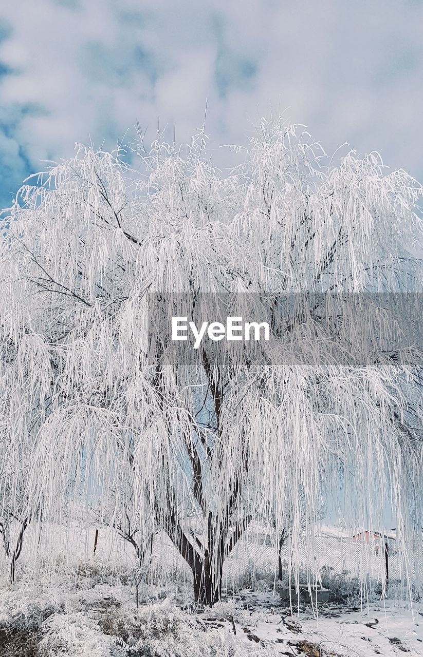 SCENIC VIEW OF FROZEN LANDSCAPE AGAINST SKY