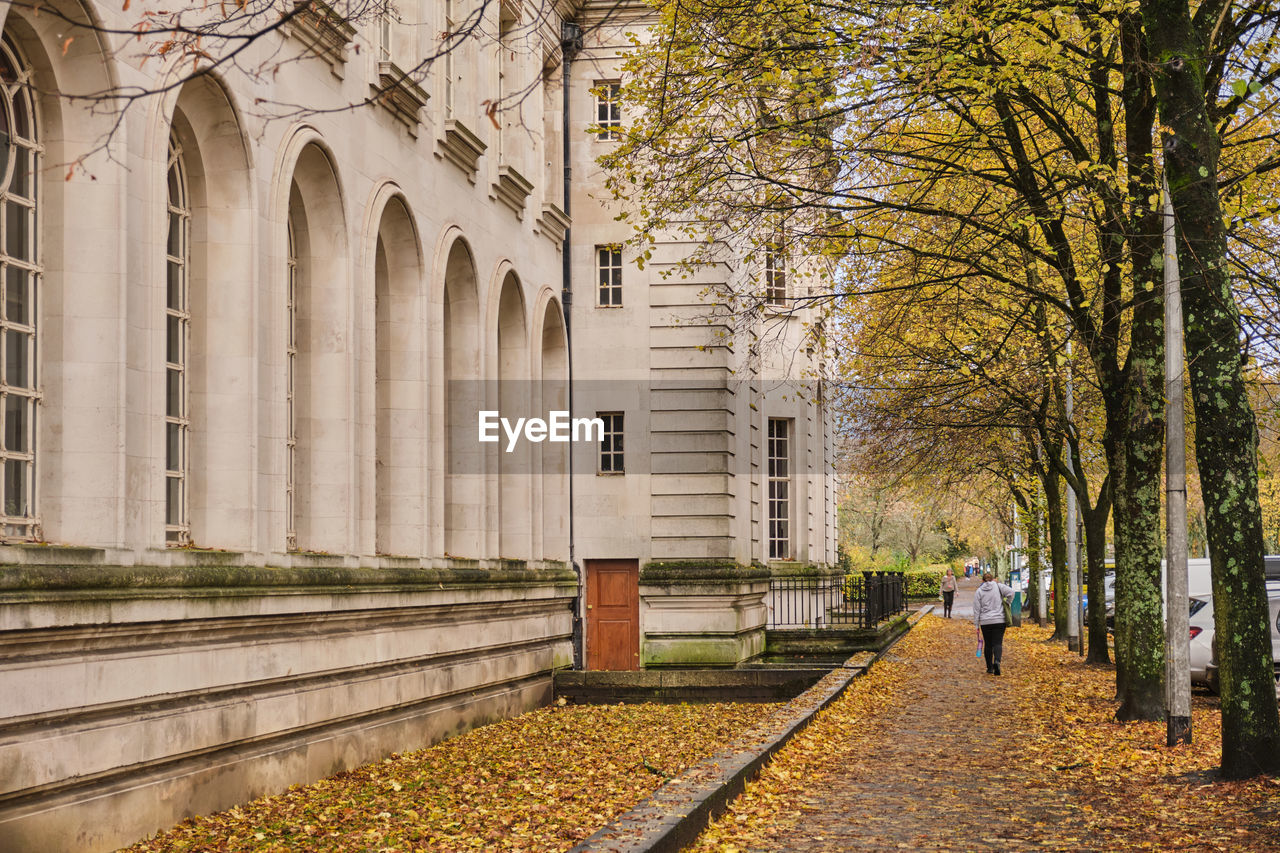 Autumn leaves along cardiff civic centre city hall municipal local government council buildings