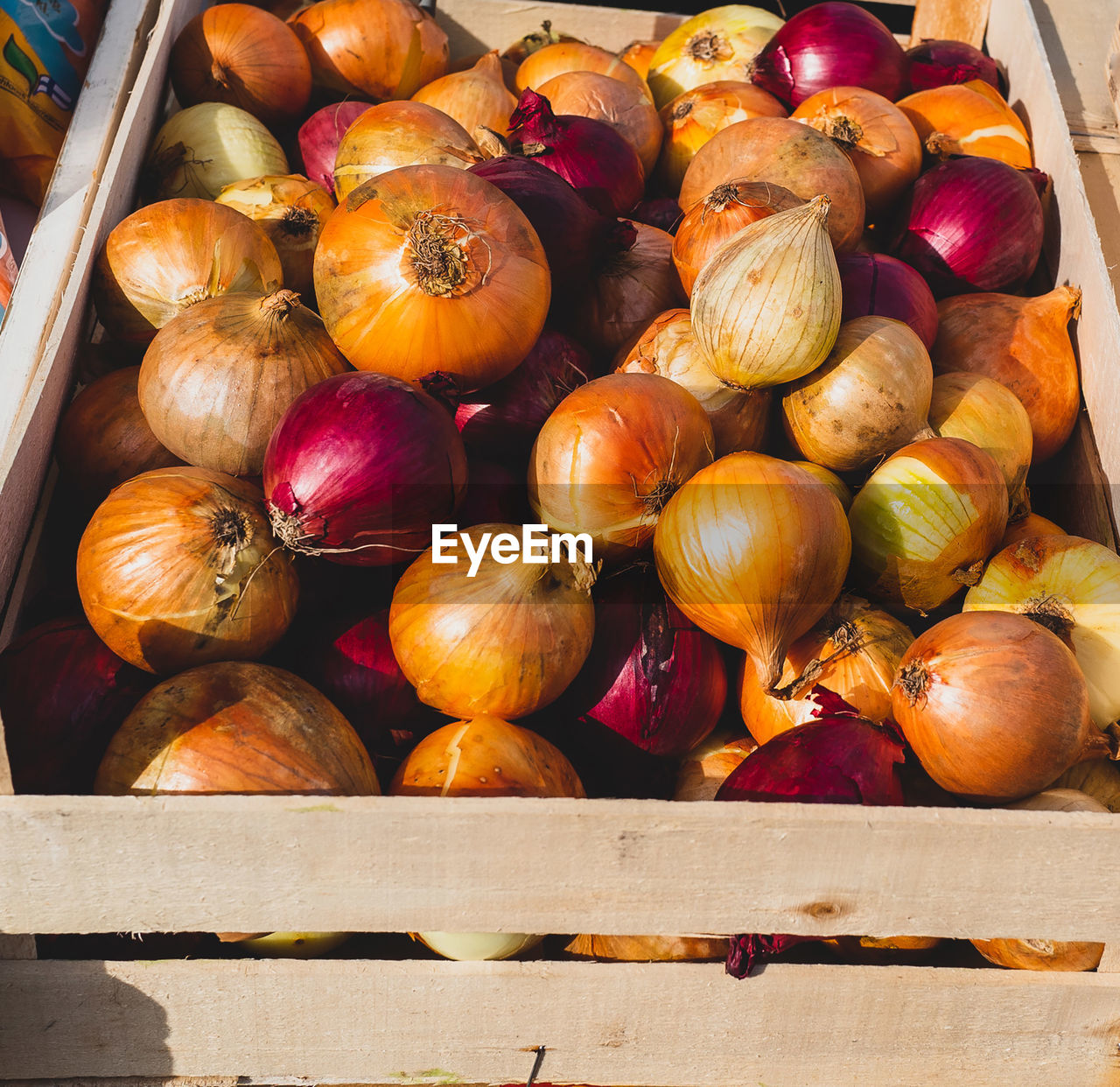 Close-up of onions