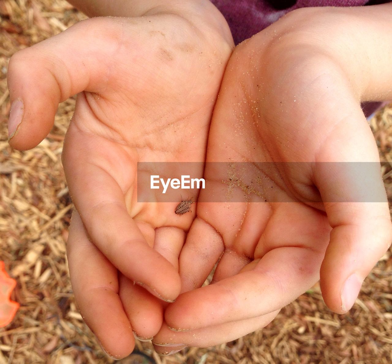 Close-up of cupped hands