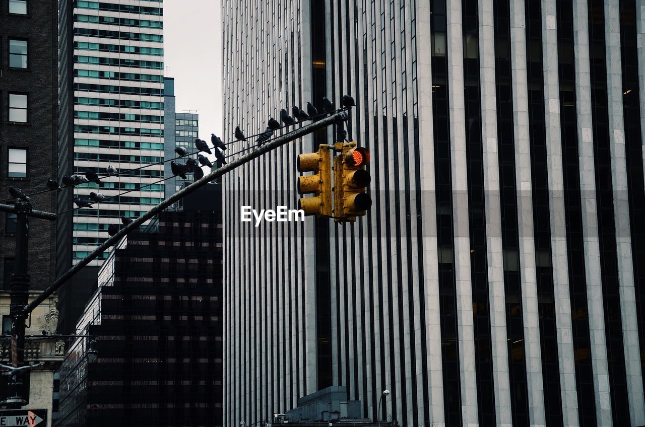 Low angle view of traffic light against buildings