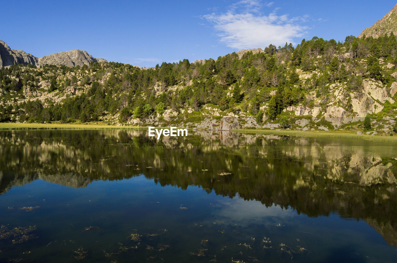 Scenic view of lake by trees against sky