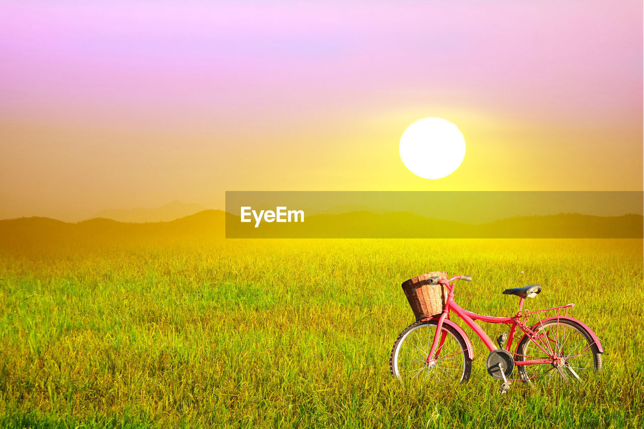Beautiful agriculture jasmine rice farm and red bicycle and soft fog in the morning blue sky
