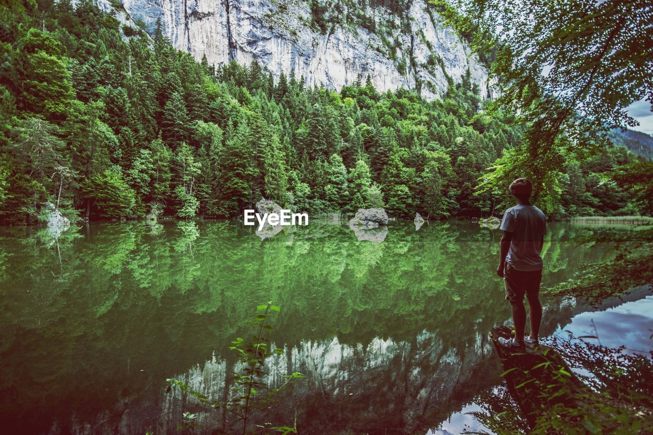 Rear view of man standing by lake at forest