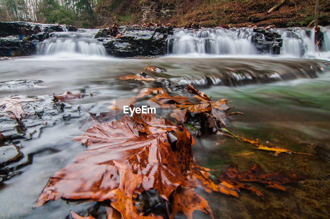 Scenic view of waterfall in forest during autumn