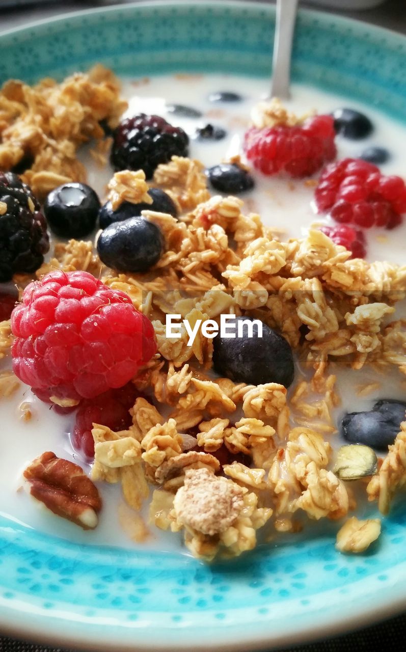 Close-up overhead view of berries in porridge