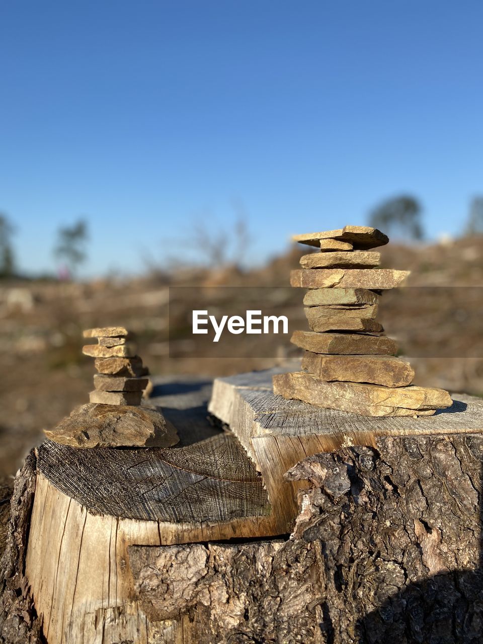 CLOSE-UP OF STACK OF LOGS