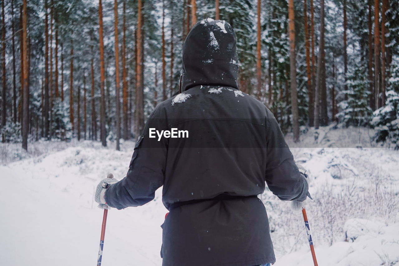 Rear view of person skiing in snow covered forest