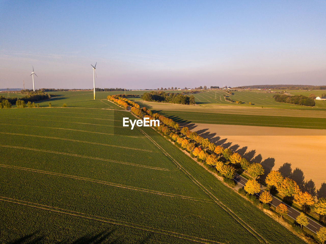 SCENIC VIEW OF FARM AGAINST SKY