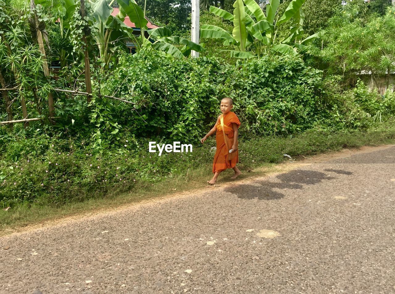 REAR VIEW OF WOMAN WALKING BY TREES