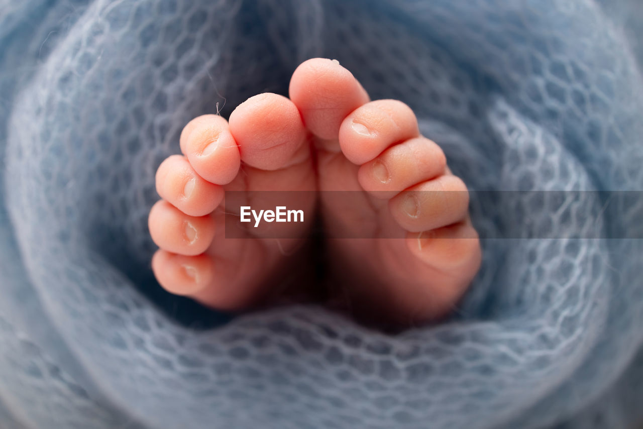 close-up of baby on bed