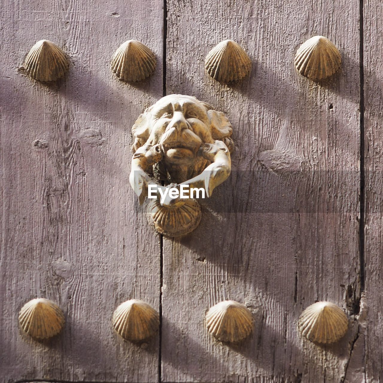 HIGH ANGLE VIEW OF MUSHROOMS ON WOODEN TABLE