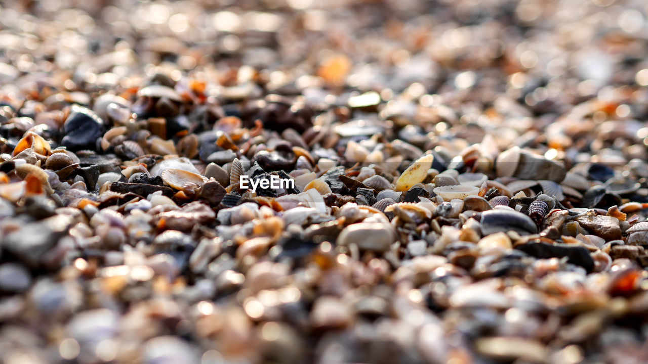 CLOSE-UP OF PEBBLES ON PEBBLE BEACH