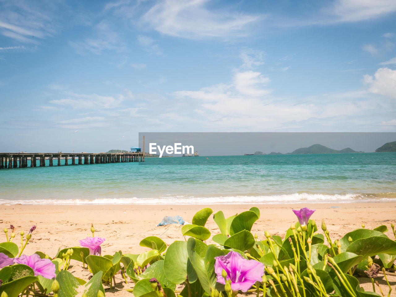 SCENIC VIEW OF SEA AGAINST SKY AT BEACH