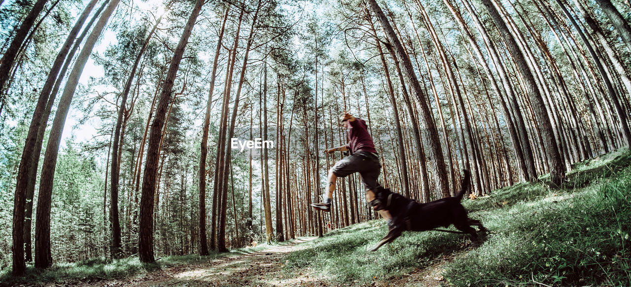 Low angle view of man running with dog in forest