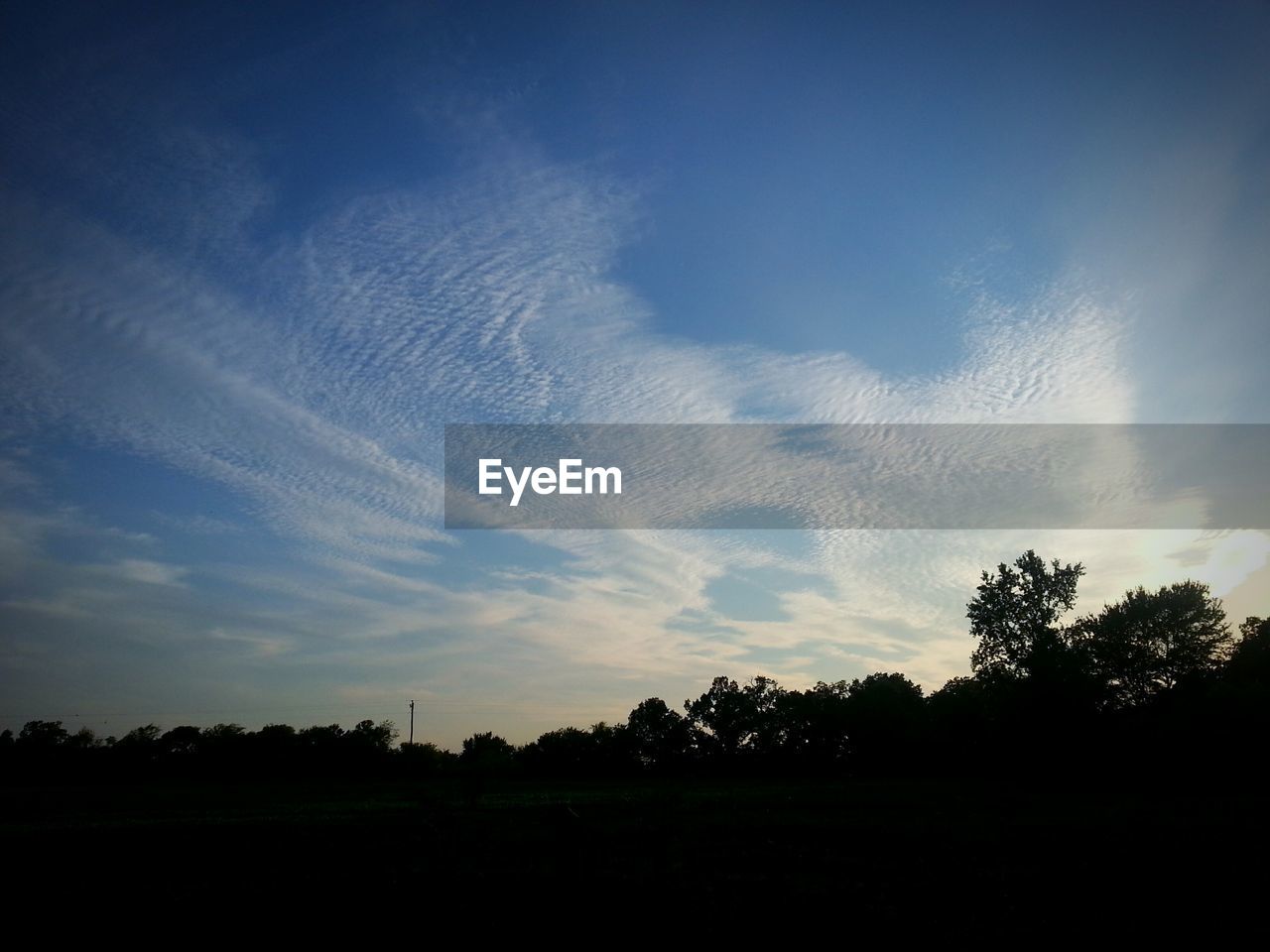 Cloudy sky above trees