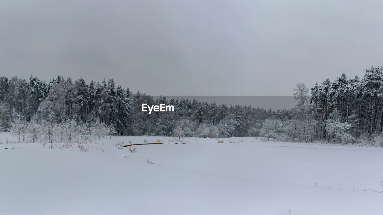 Snow covered trees against sky