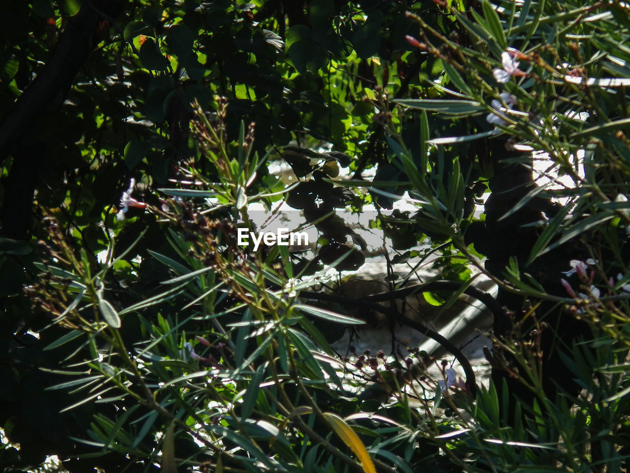VIEW OF BRANCH