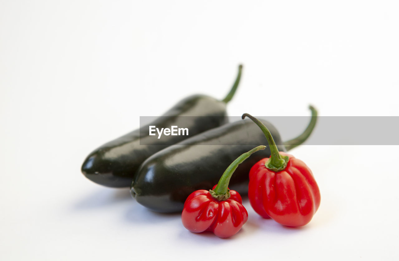 CLOSE-UP OF RED CHILI PEPPER OVER WHITE BACKGROUND