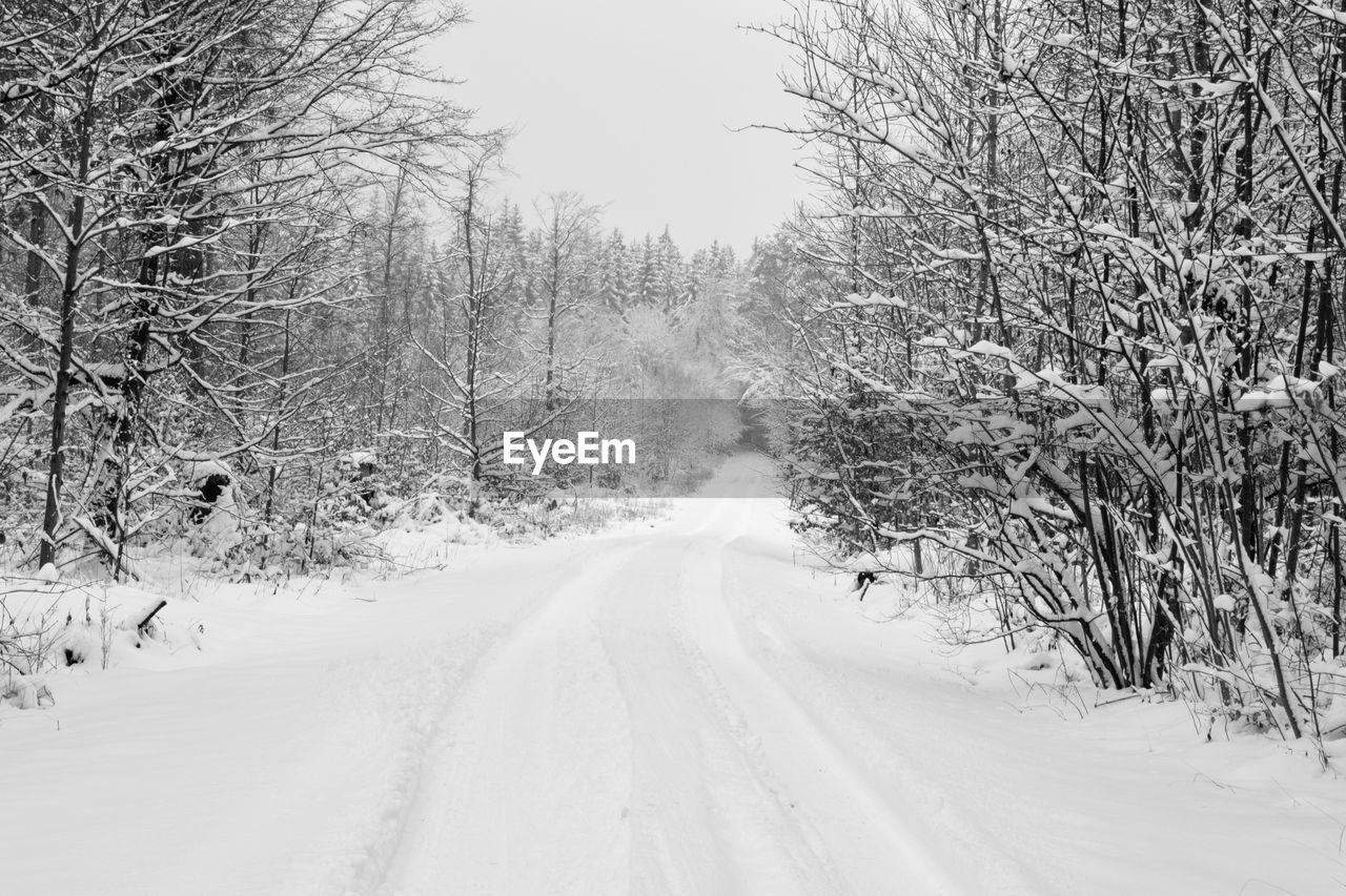 ROAD AMIDST SNOW COVERED LAND AND TREES
