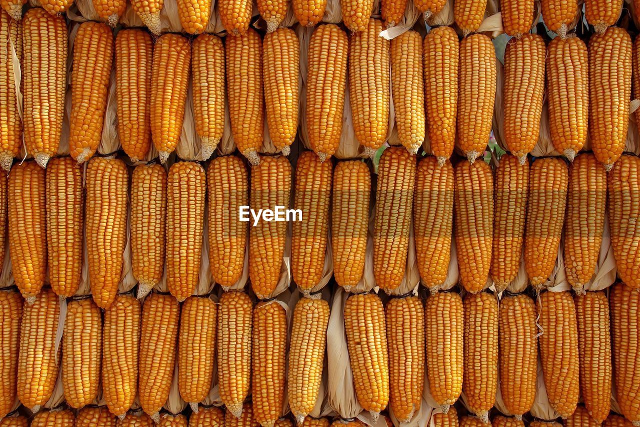 Full frame shot of corn for sale in market