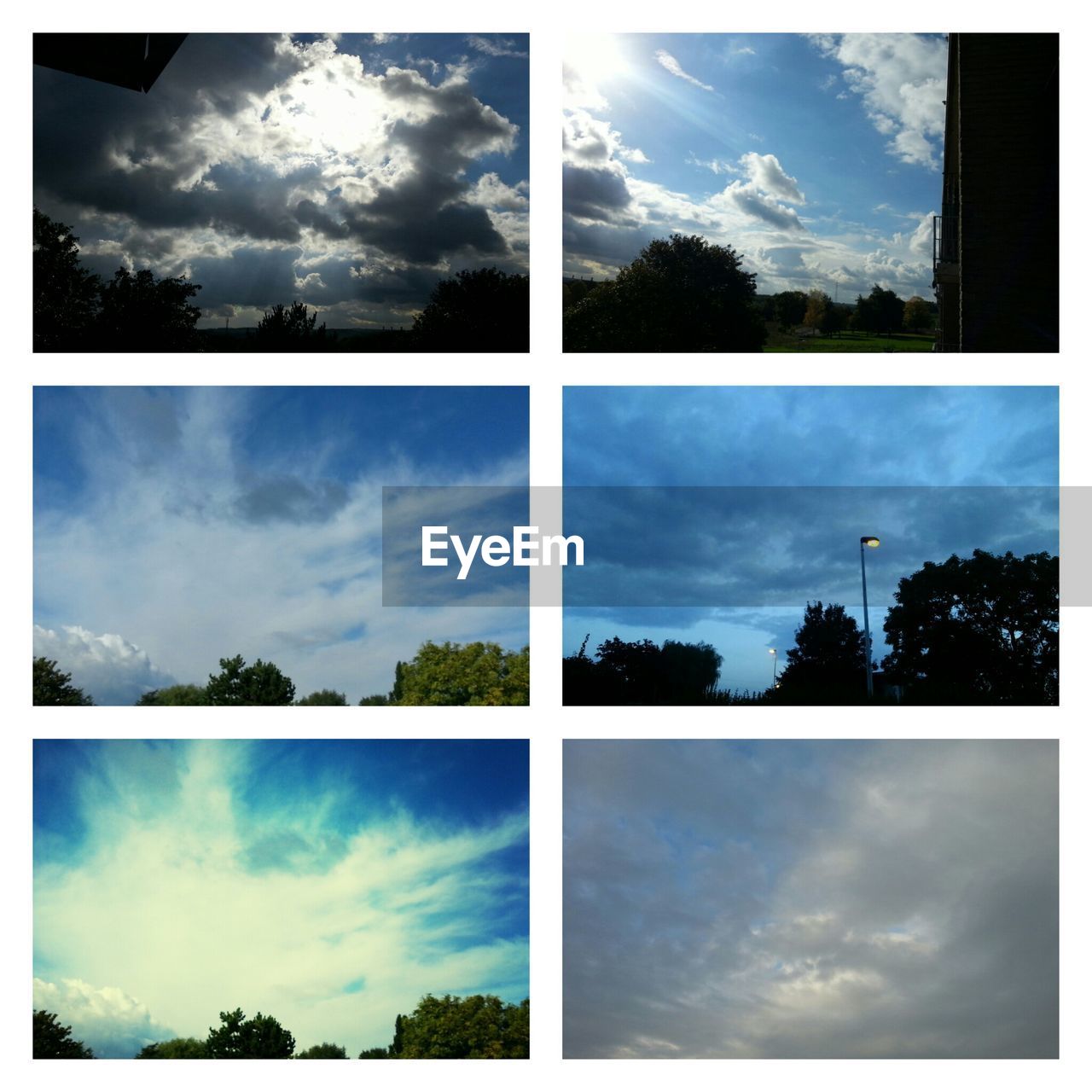 TREES AGAINST CLOUDY SKY