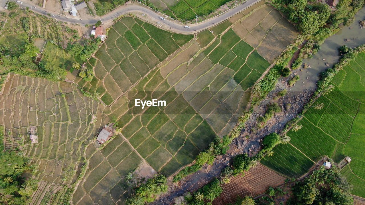 High angle view of agricultural field