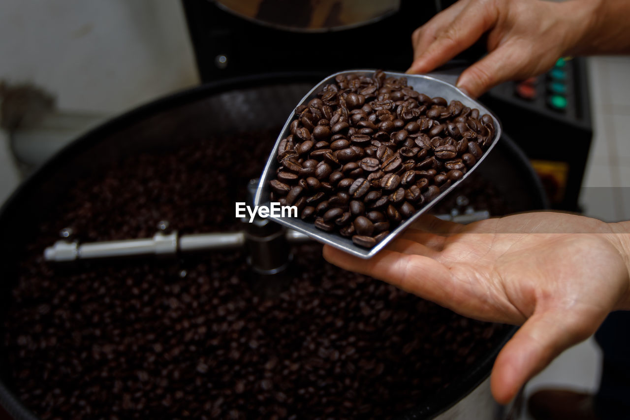 Close up hand holding a probe of fresh roasted coffee beans and spinning machine background
