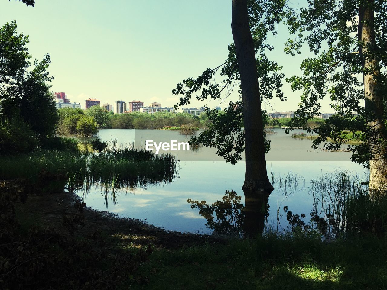 TREES AND LAKE IN CITY AGAINST SKY