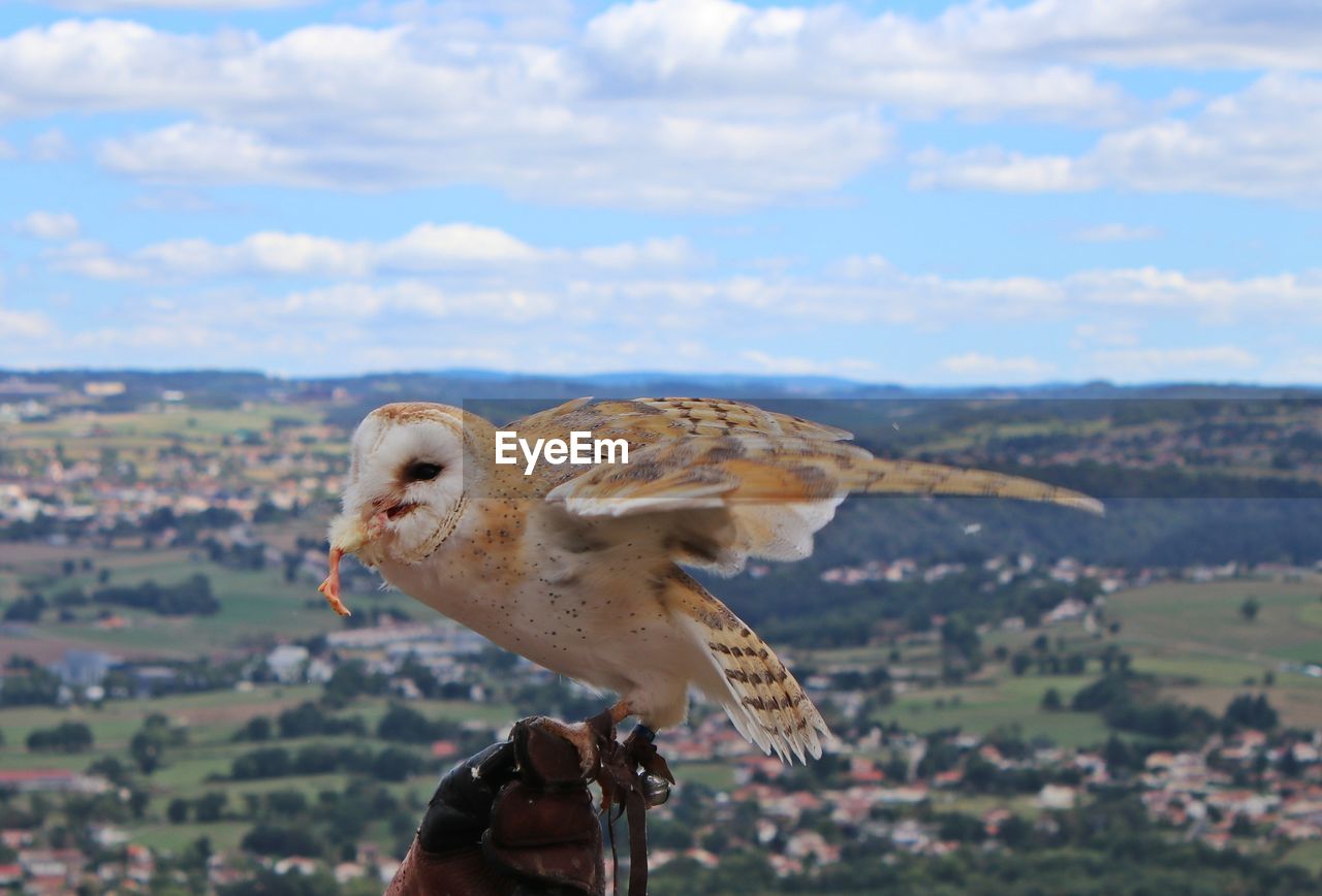 MAN FEEDING BIRD AGAINST SKY