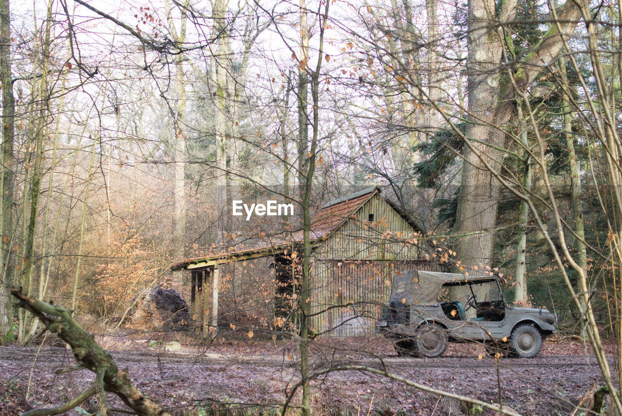 Historic military car, dkw munga, on field by trees in forest by old building