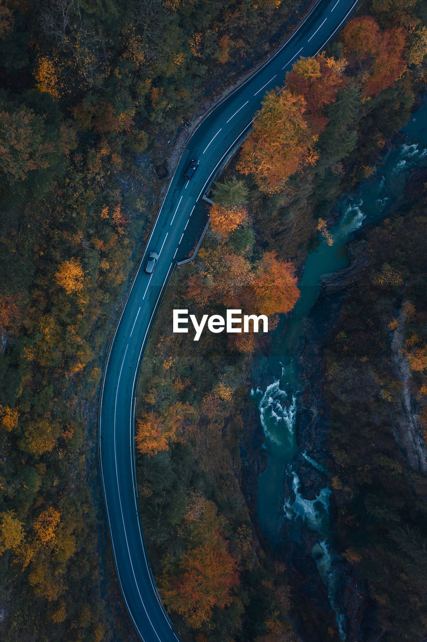 HIGH ANGLE VIEW OF AUTUMN TREES BY ROAD