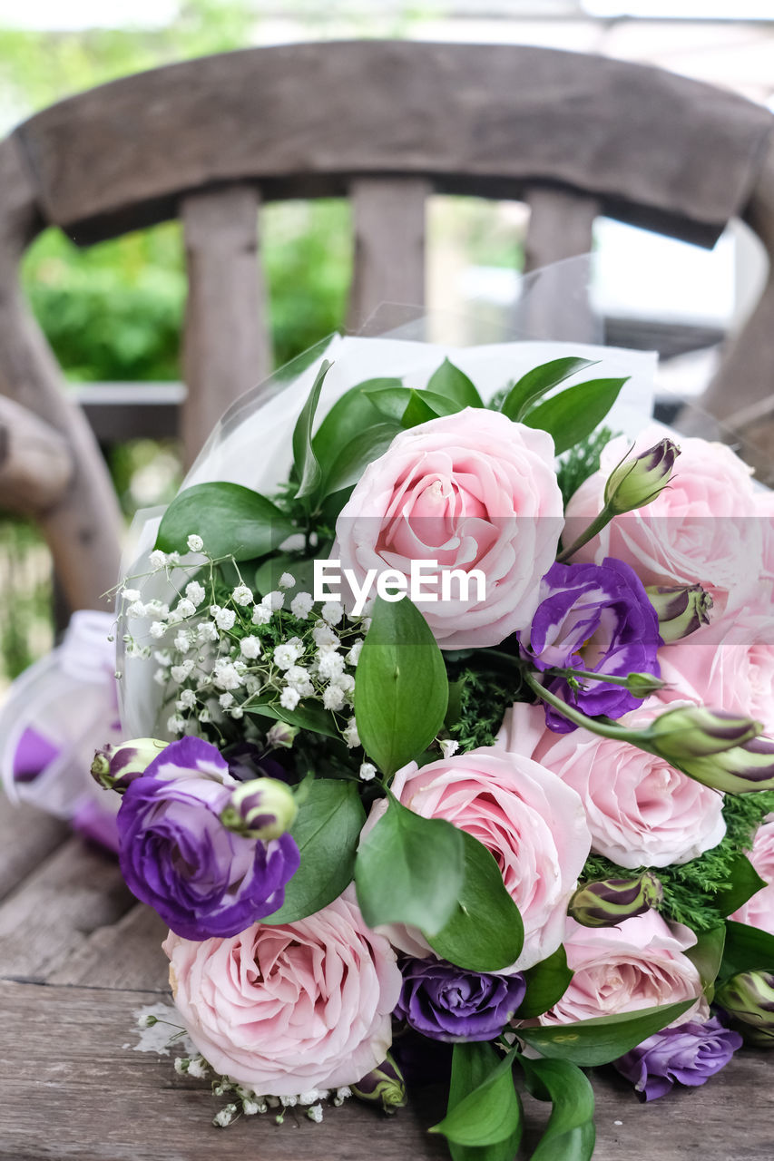 CLOSE-UP OF PINK ROSES ON PLANT