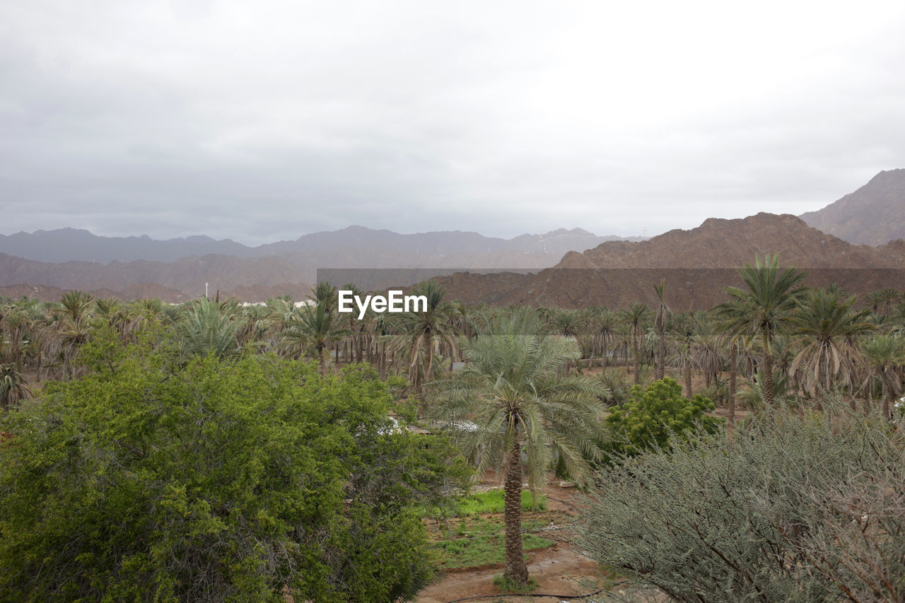 Scenic view of mountains