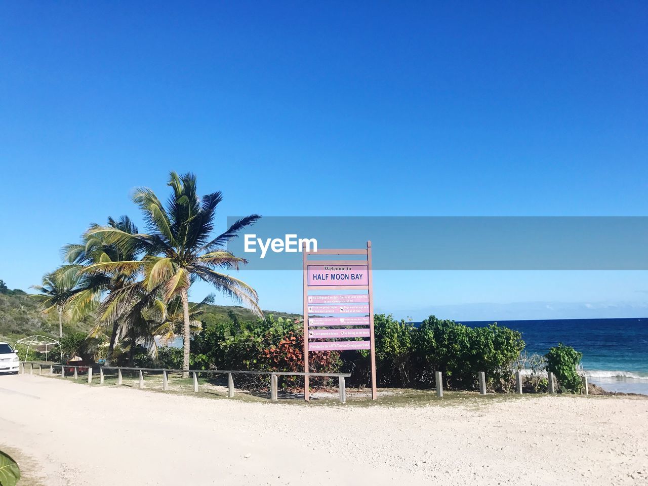 PALM TREES BY BEACH AGAINST CLEAR BLUE SKY