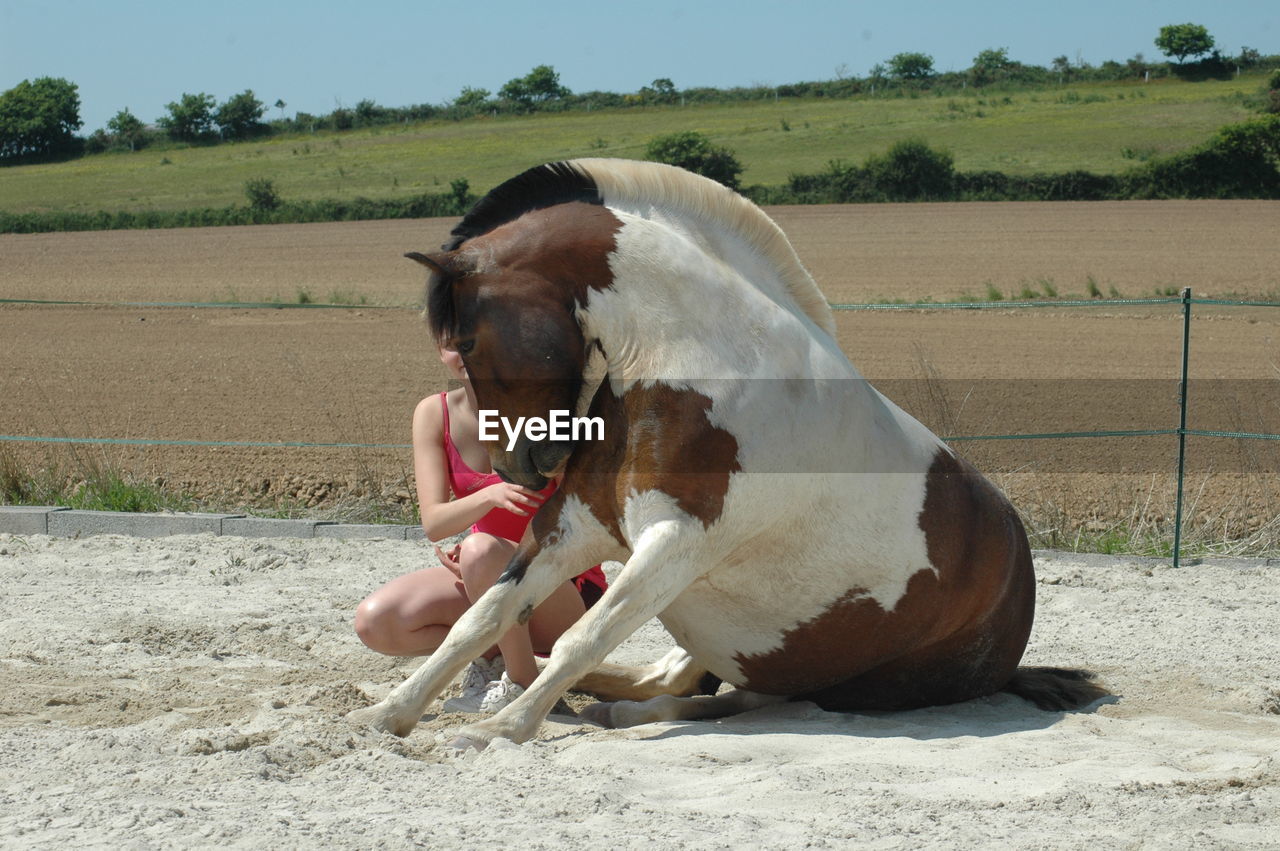 animal, animal themes, mammal, horse, domestic animals, pet, livestock, stallion, one animal, animal wildlife, nature, one person, mare, land, landscape, adult, mustang horse, day, agriculture, farm, full length, plant, equestrian sport, sunlight, outdoors, environment, person, rural scene, field, lifestyles, sitting