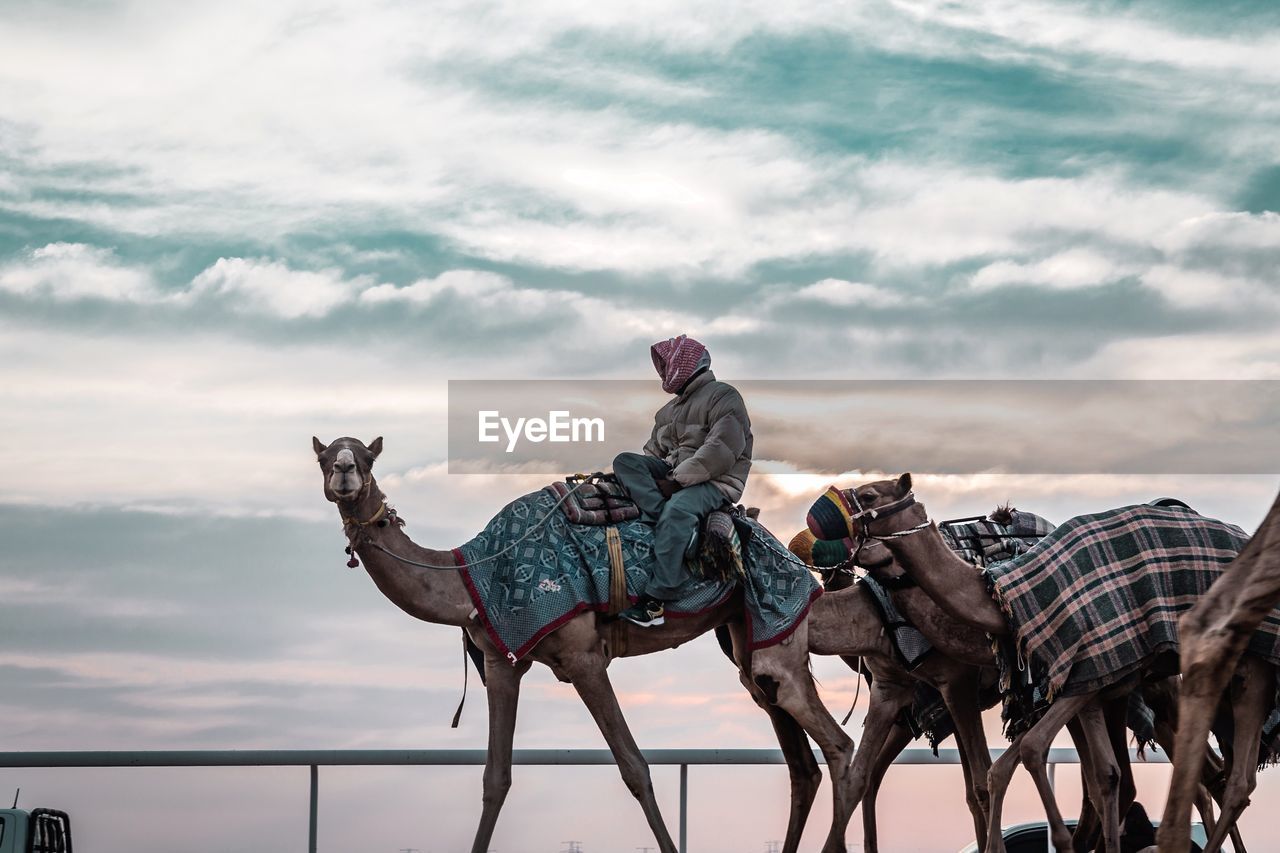 TWO PEOPLE RIDING HORSES