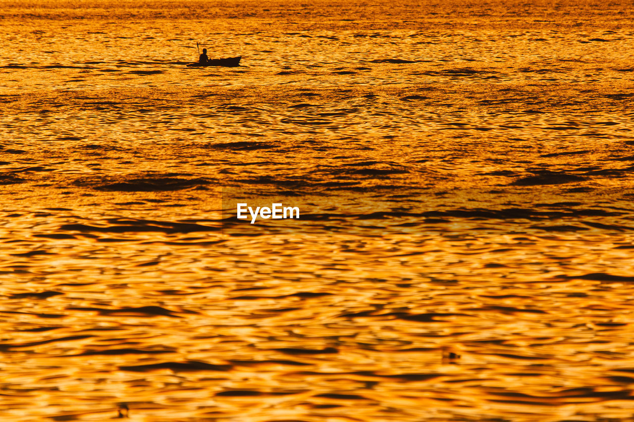 VIEW OF BIRD SWIMMING IN SEA